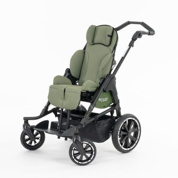 BINGO Evolution Trendline-2